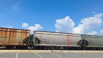 CEFX 302282